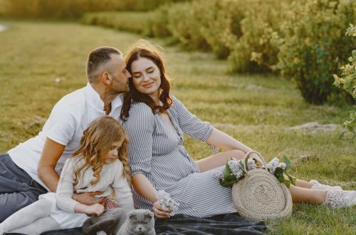 Family enjoying a joyful picnic in a sunny field with their pet cat, capturing a serene and loving moment.